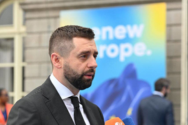 Будут ли иметь отсрочку от мобилизации аспиранты и ухаживающие за людьми с инвалидностью: ответ Арахамии