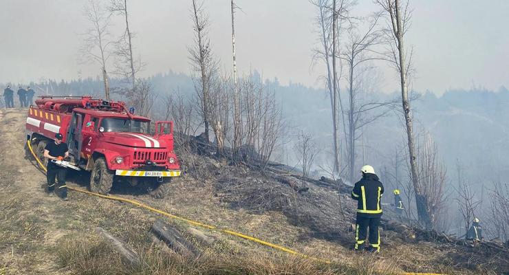 Штрафы и тюрьма: украинцам напомнили об ответственности за сжигание листьев и сухой травы