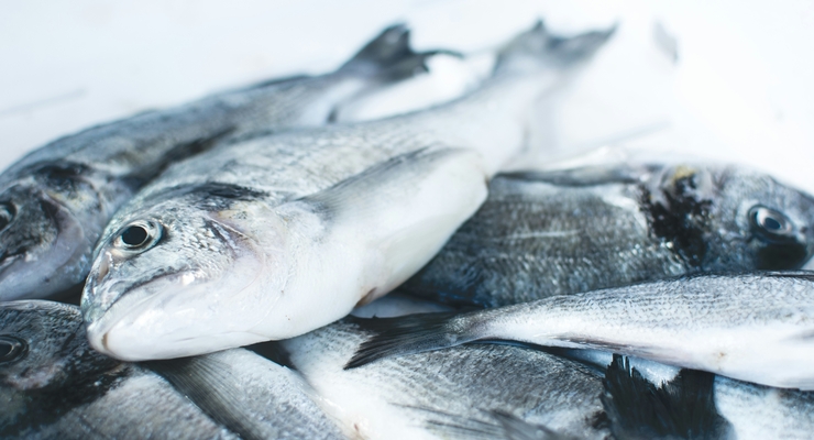 Jakub Kapusnak / unsplash.com