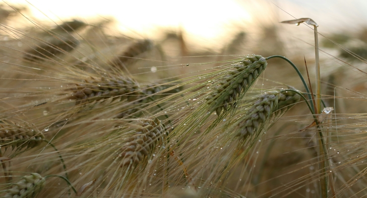 Elisa / unsplash.com