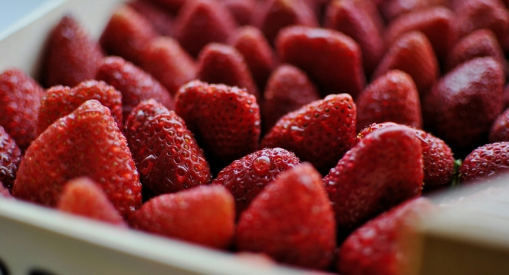 Tasha / unsplash.com