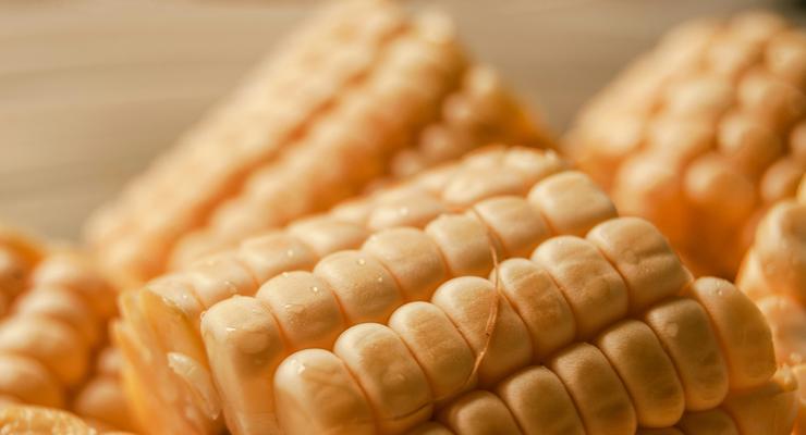 Китай обмежує ввезення української кукурудзи