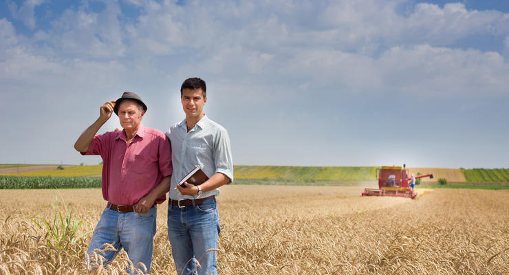 Ринок землі в Україні: бізнес не поспішає купувати гектари