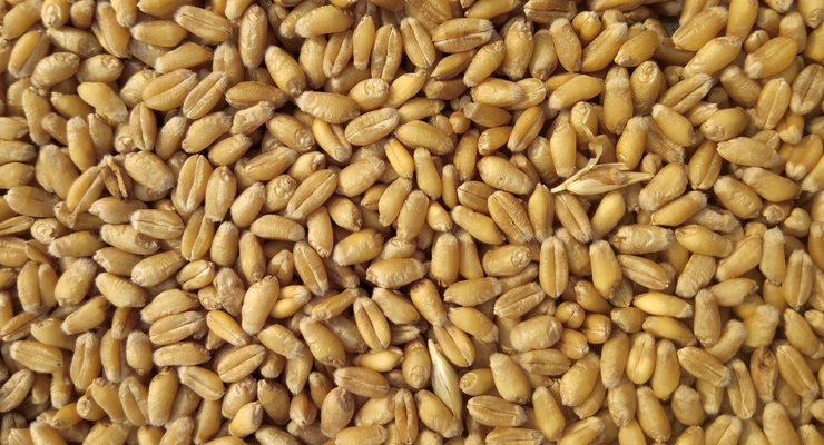 Avinash Kumar / unsplash.com