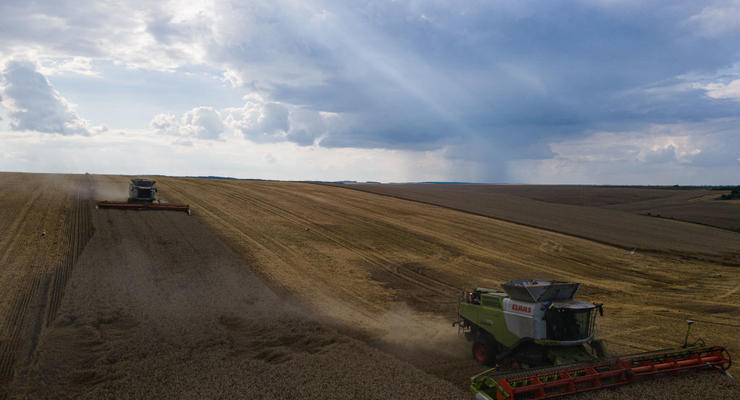 Украинские аграрии могут получить субсидию на землю: кому предусмотрена помощь