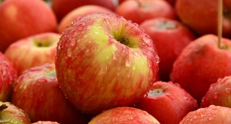 Експорт яблук з України б'є рекорди