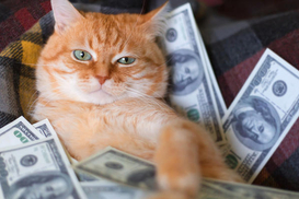 Курс валют на 15.05.2024: доллар подорожал, евро обновил максимум