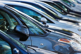 В Украине заработал кабинет водителя для бизнеса: какие функции доступны