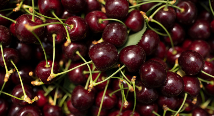 Иллюстративное фото / Getty Images