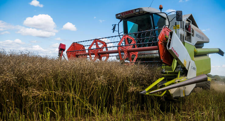 Женщин за руль трактора, а мигрантов на сбор урожая: как украинские аграрии борются с нехваткой рабочих рук