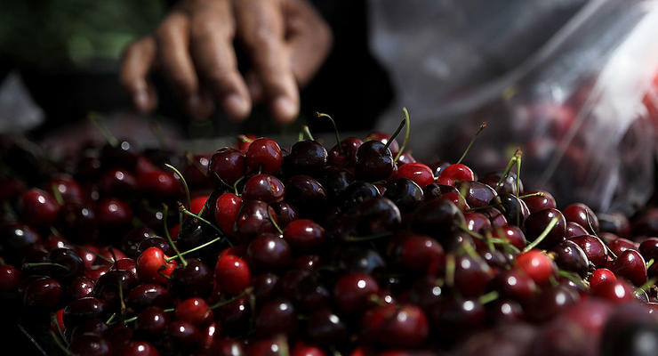 В Україні подешевшала черешня: які ціни на популярну сезонну ягоду