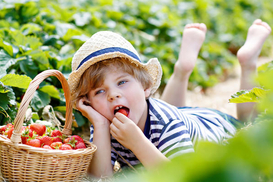 Що буде з цінами на полуницю в Україні: експерт порадувала прогнозом