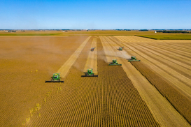 Аграриям улучшили условия бронирования работников от мобилизации: что поменялось