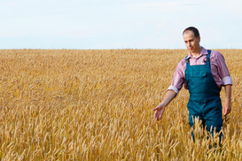 Убытки агросектора Украины из-за большой войны превысили $10 млрд