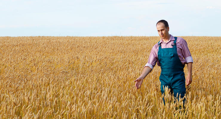 Иллюстративное фото / depositphotos.com