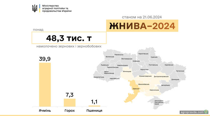 інфографіка