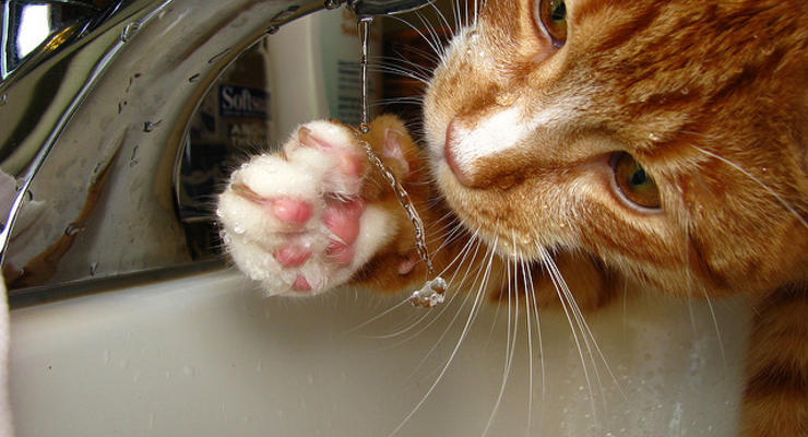 Иллюстративное фото / flickr.com