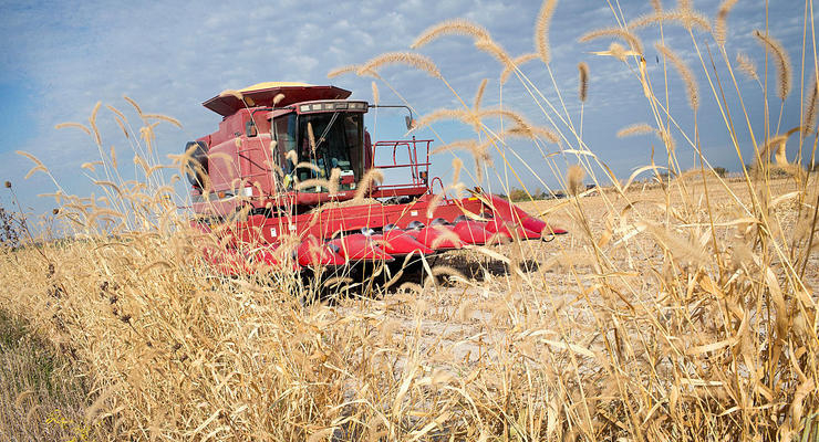 Ілюстративне фото / Getty Images