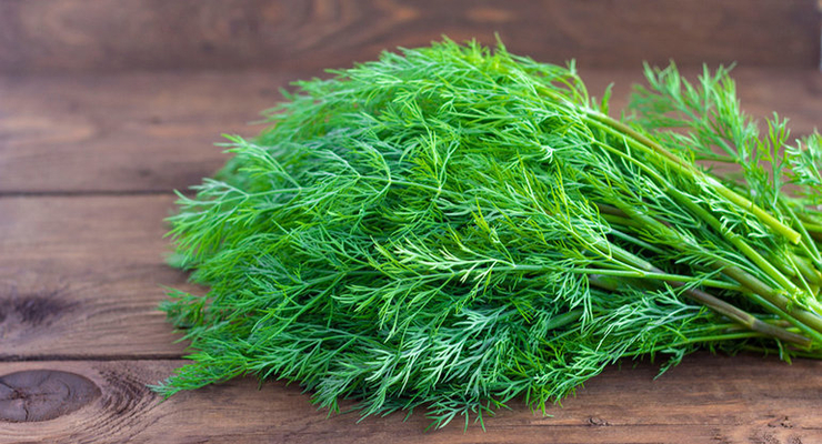 ілюстративне фото / Соцмережі