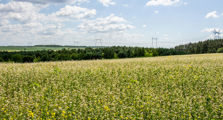 Viktor Smoliak / unsplash.com