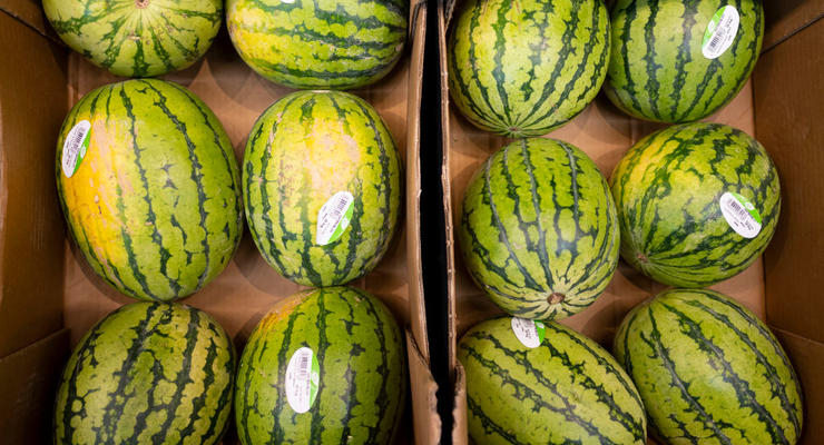 Ілюстративне фото / Getty Images