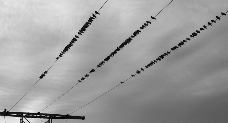 Alex Jones  / unsplash.com