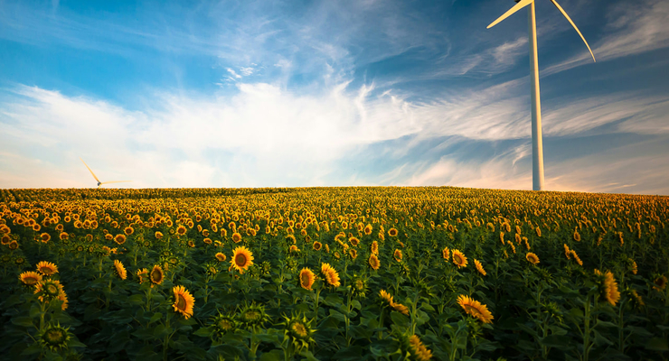 Gustavo Quepón  / unsplash.com