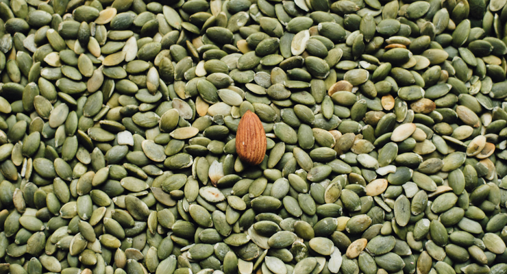 CHUTTERSNAP  / unsplash.com