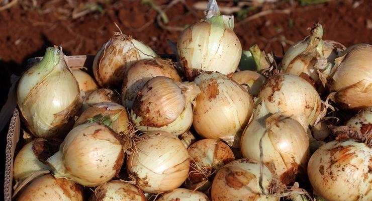 Иллюстративное фото / EPA/UPG