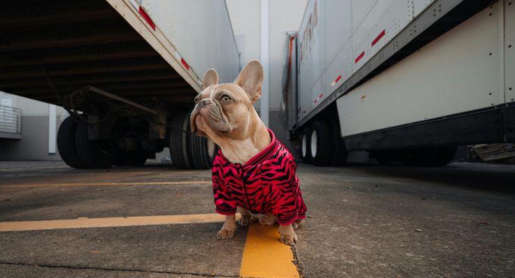 Karsten Winegeart / unsplash.com