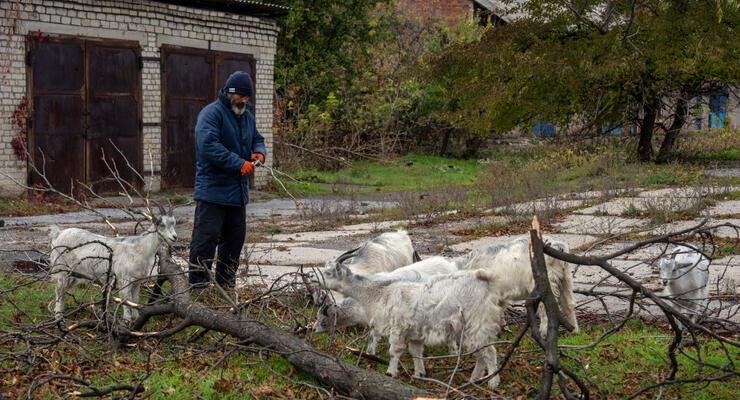 Жителям прифронтовых территорий разрешили бесплатно заготавливать дрова: как это будет работать