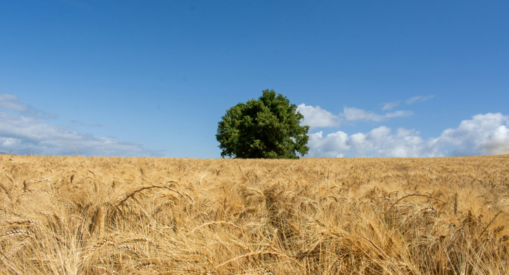 Thomas Delacrétaz / unsplash.com