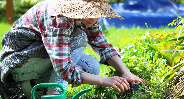 Иллюстративное фото / depositphotos.com