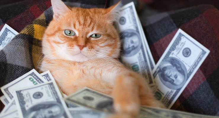 Иллюстративное фото / depositphotos.com