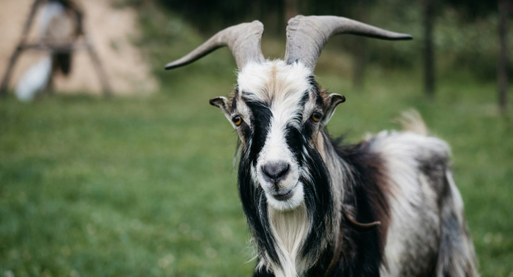  Krzysztof Kowalik  / unsplash.com