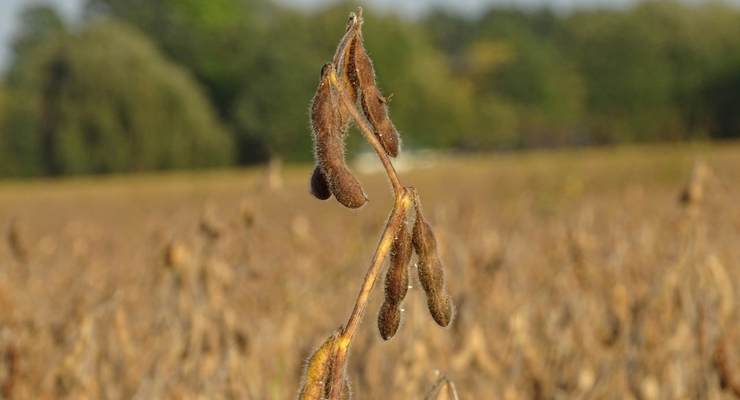 Steven Brown / unsplash.com