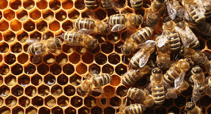 Иллюстративное фото / Getty Images