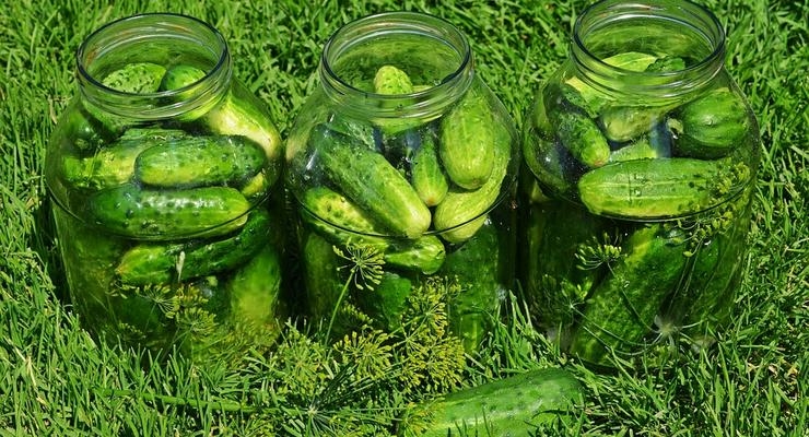 Иллюстративное фото / pixabay.com