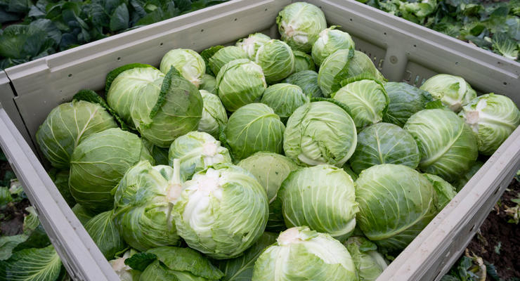 Иллюстративное фото / Getty Images