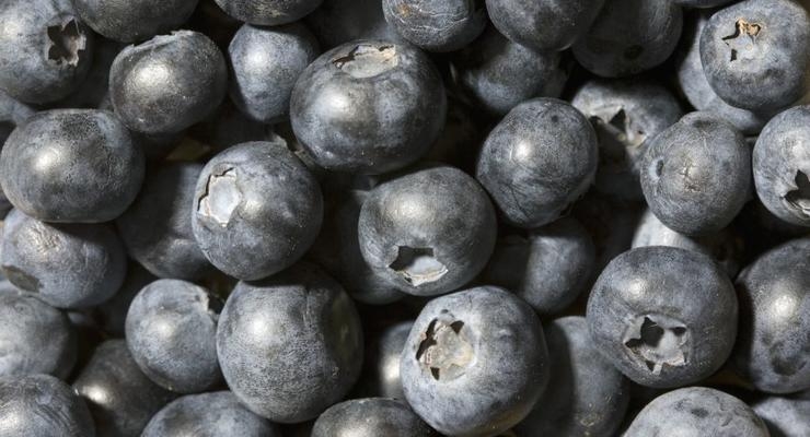 Иллюстративное фото / Getty Images