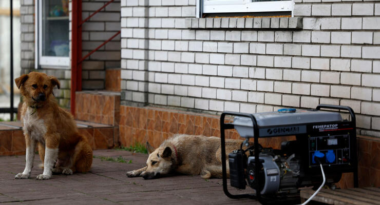 Иллюстративное фото / Getty Images
