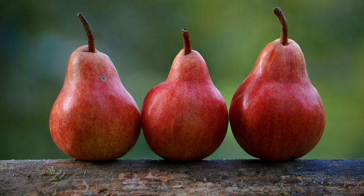 Shumilov Ludmila / unsplash.com