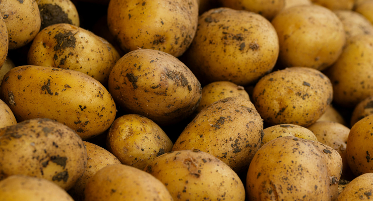  engin akyurt / unsplash.com