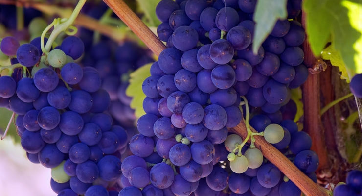  Bill Williams / unsplash.com