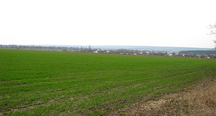 иллюстративное фото / Wikipedia.org