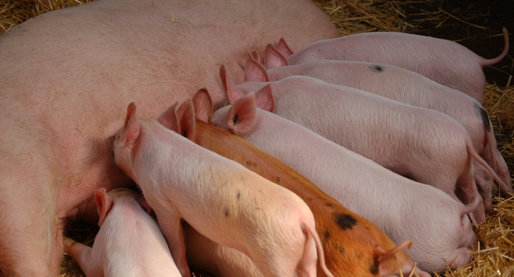 Alan Roberts / unsplash.com