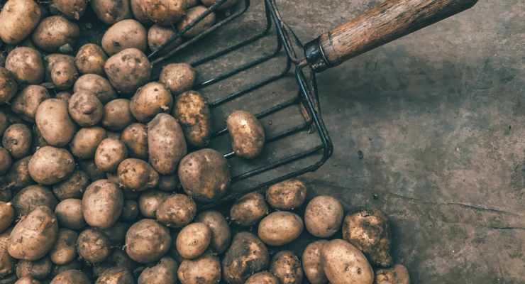 Jan Antonin Kolar / unsplash.com