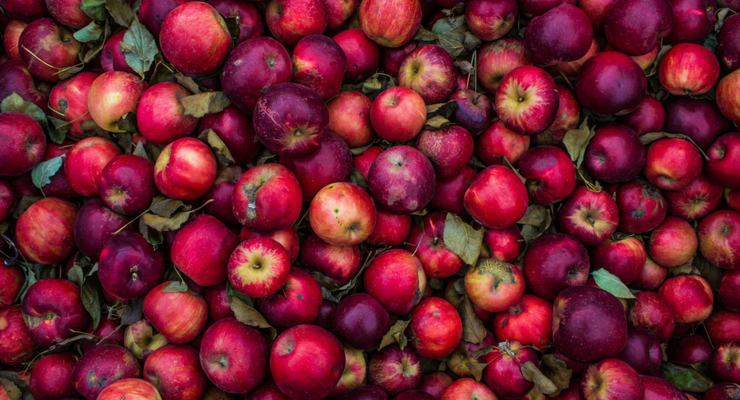 sydney Rae  / unsplash.com