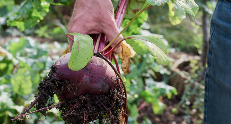 Rasa Kasparaviciene / unsplash.com