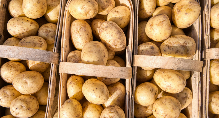 Eric Prouzet / unsplash.com